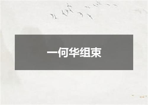 一何华组束