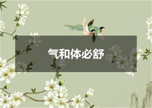 气和体必舒