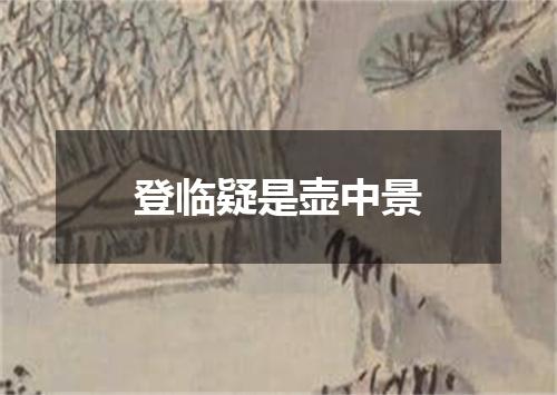 登临疑是壶中景