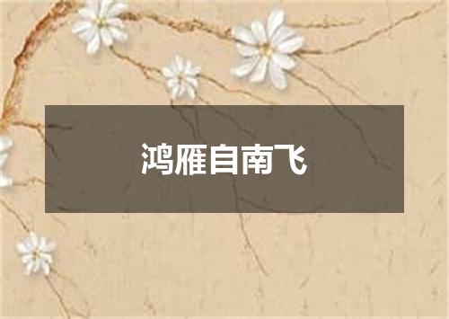 鸿雁自南飞