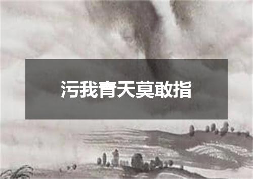 污我青天莫敢指