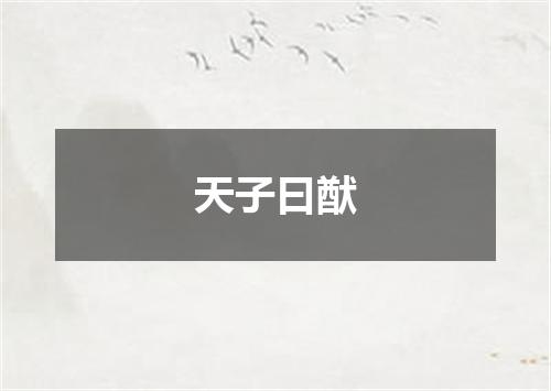 天子曰猷