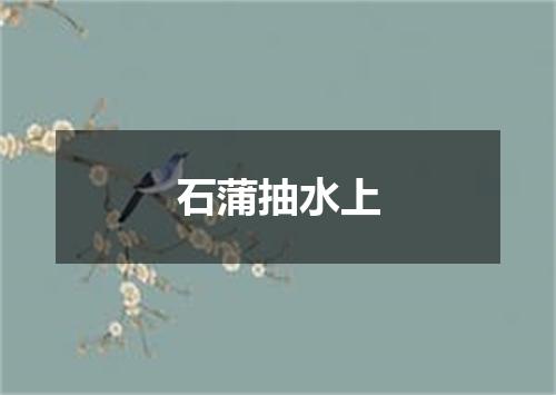 石蒲抽水上