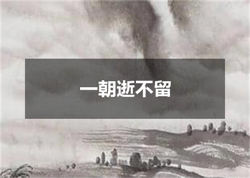 一朝逝不留