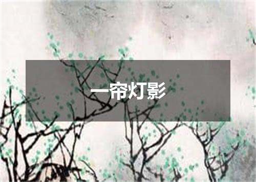 一帘灯影