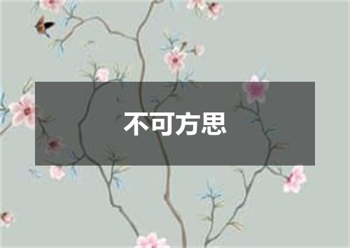 不可方思