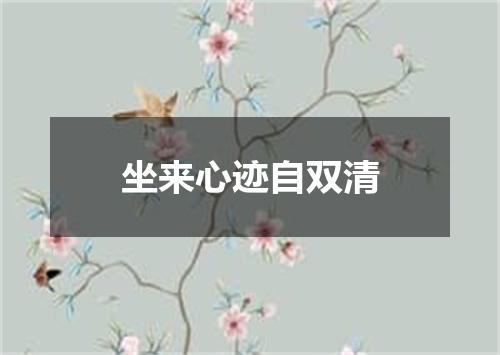 坐来心迹自双清