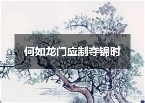 何如龙门应制夺锦时