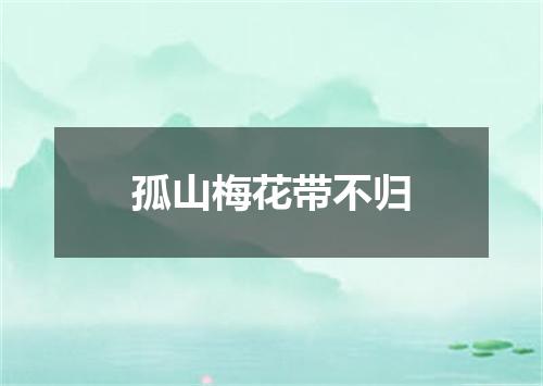 孤山梅花带不归