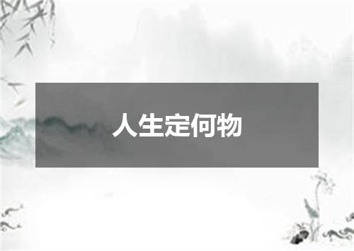 人生定何物
