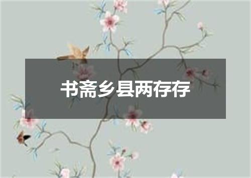 书斋乡县两存存