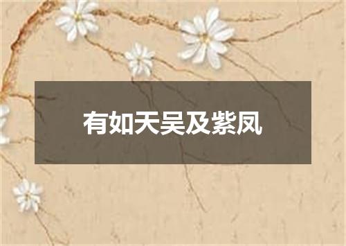 有如天吴及紫凤