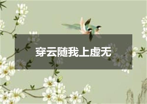 穿云随我上虚无