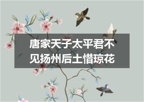 唐家天子太平君不见扬州后土惜琼花