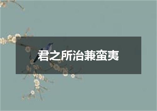 君之所治兼蛮夷