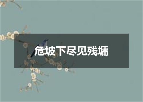 危坡下尽见残墉