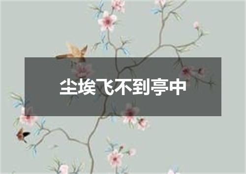 尘埃飞不到亭中