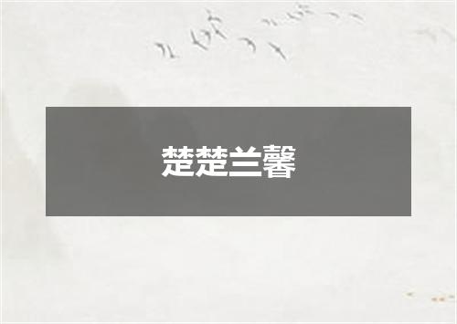 楚楚兰馨