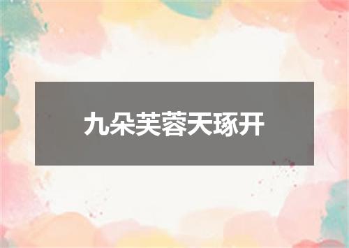 九朵芙蓉天琢开