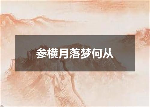 参横月落梦何从