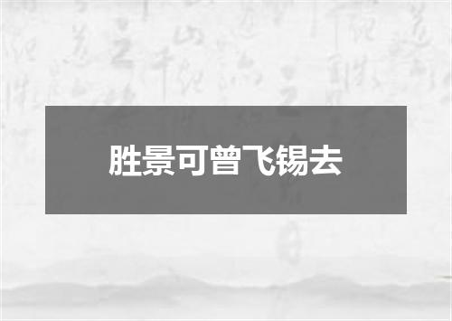 胜景可曾飞锡去