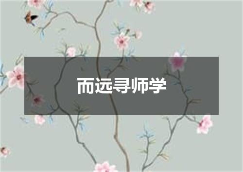 而远寻师学
