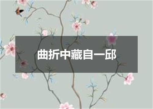 曲折中藏自一邱