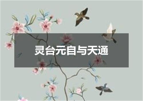 灵台元自与天通