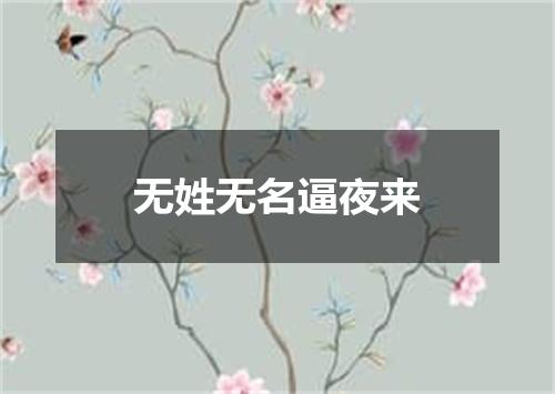 无姓无名逼夜来