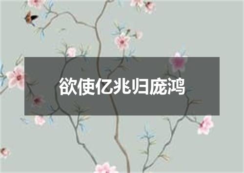 欲使亿兆归庞鸿