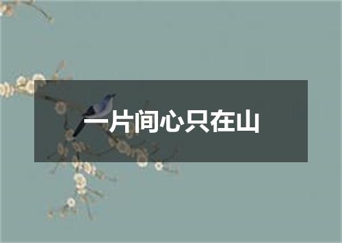 一片间心只在山