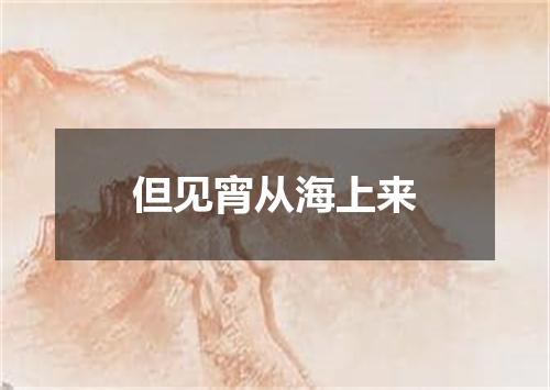 但见宵从海上来