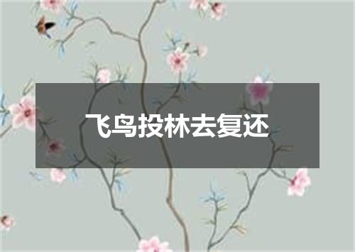 飞鸟投林去复还