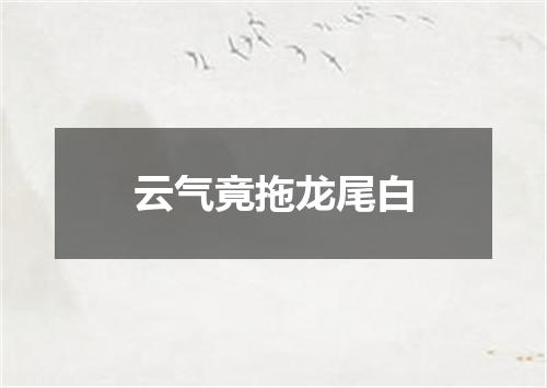 云气竟拖龙尾白