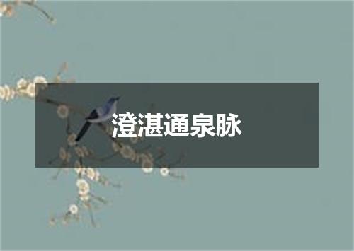 澄湛通泉脉
