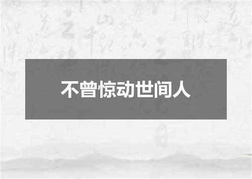 不曾惊动世间人
