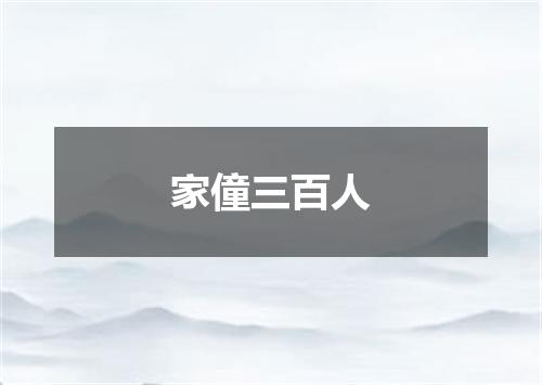 家僮三百人