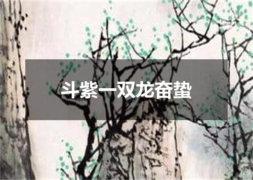 斗紫一双龙奋蛰
