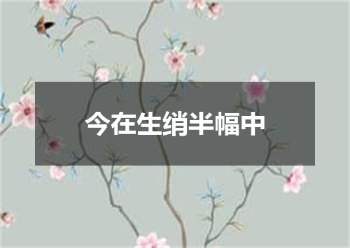 今在生绡半幅中