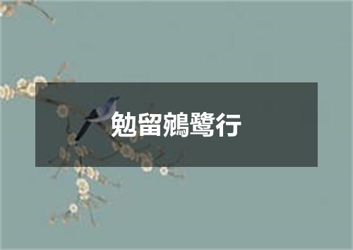 勉留鵷鹭行