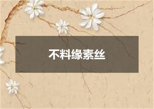 不料缘素丝