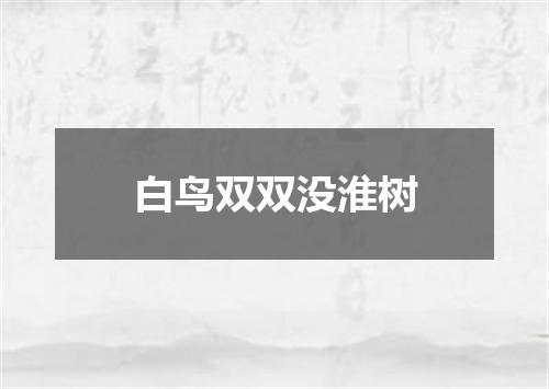 白鸟双双没淮树