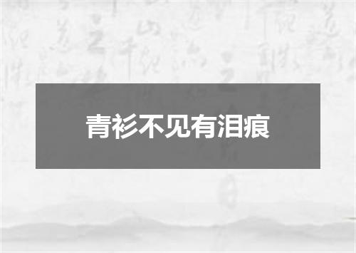 青衫不见有泪痕