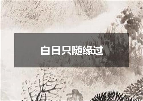 白日只随缘过