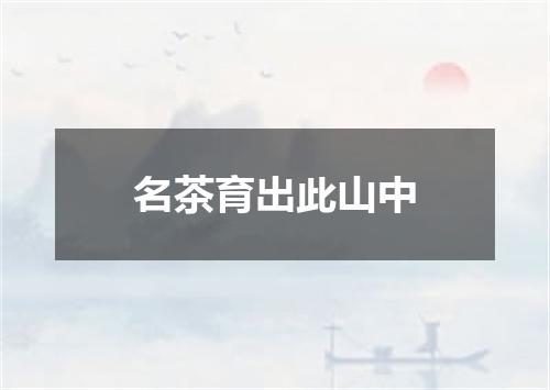 名茶育出此山中