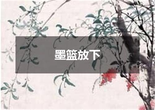 墨篮放下