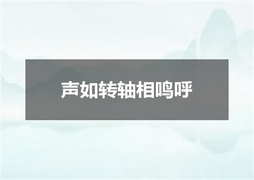 声如转轴相鸣呼