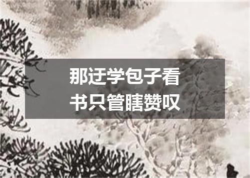 那迂学包子看书只管瞎赞叹
