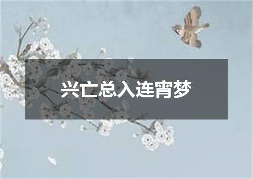 兴亡总入连宵梦