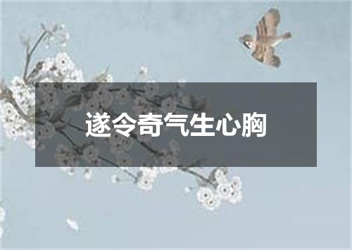 遂令奇气生心胸